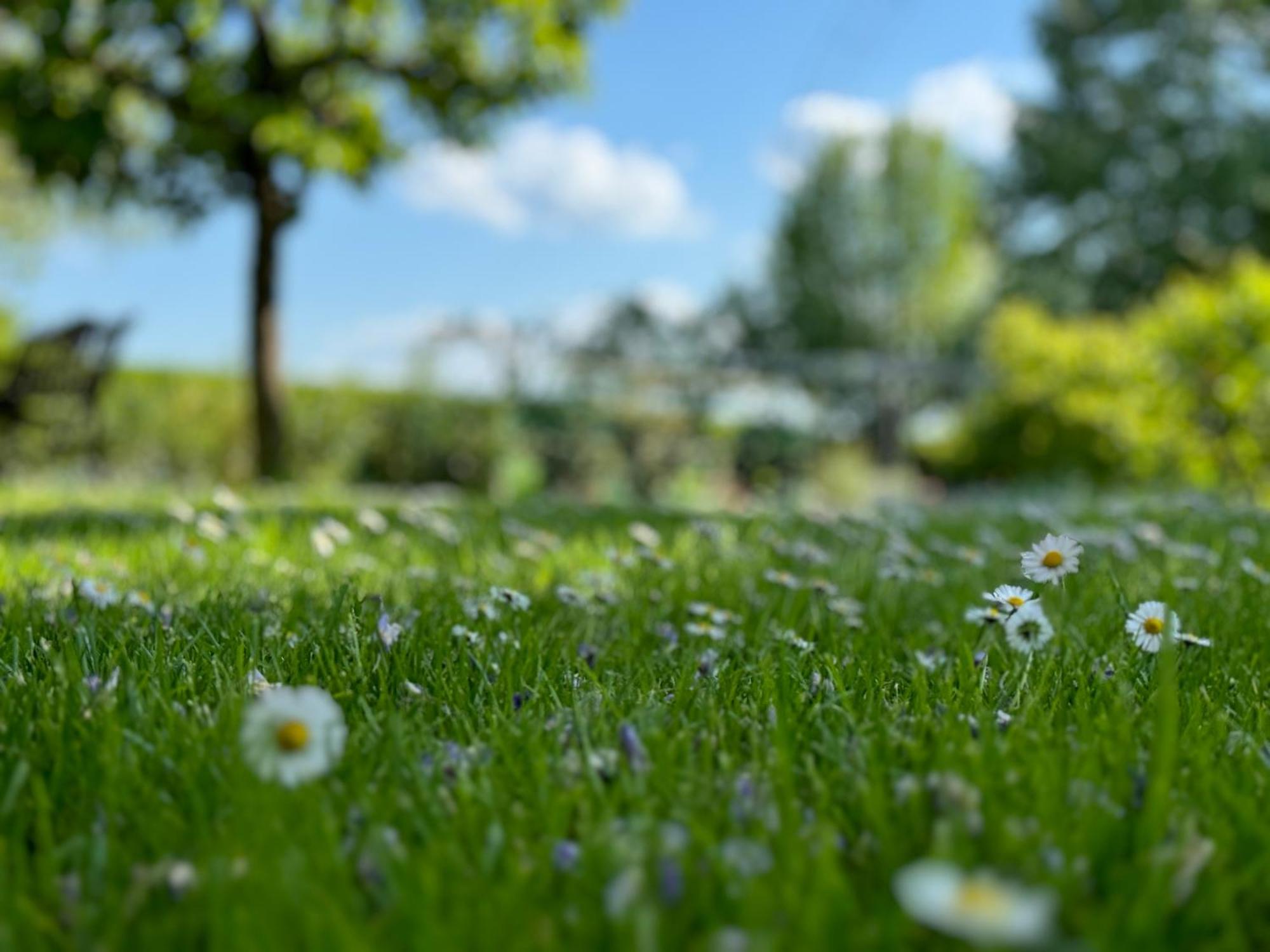 Green Oasis Garden Šenčur Buitenkant foto