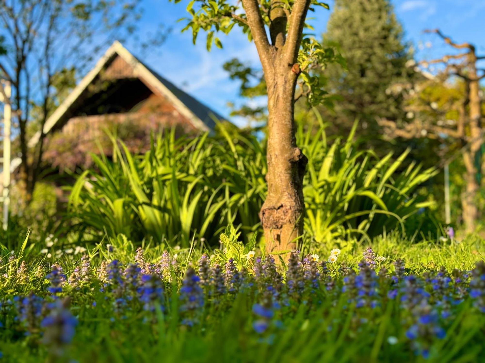 Green Oasis Garden Šenčur Buitenkant foto