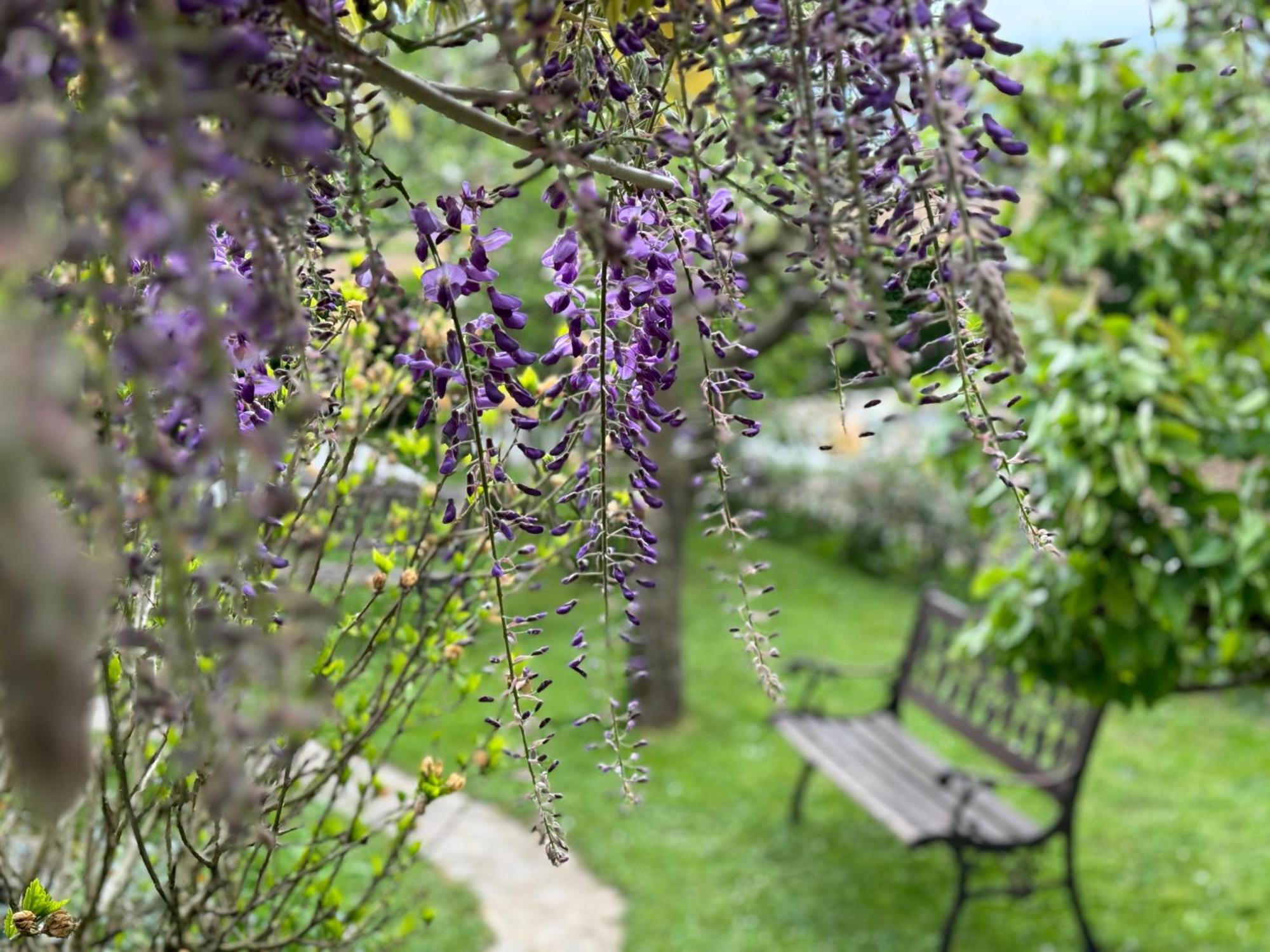 Green Oasis Garden Šenčur Buitenkant foto